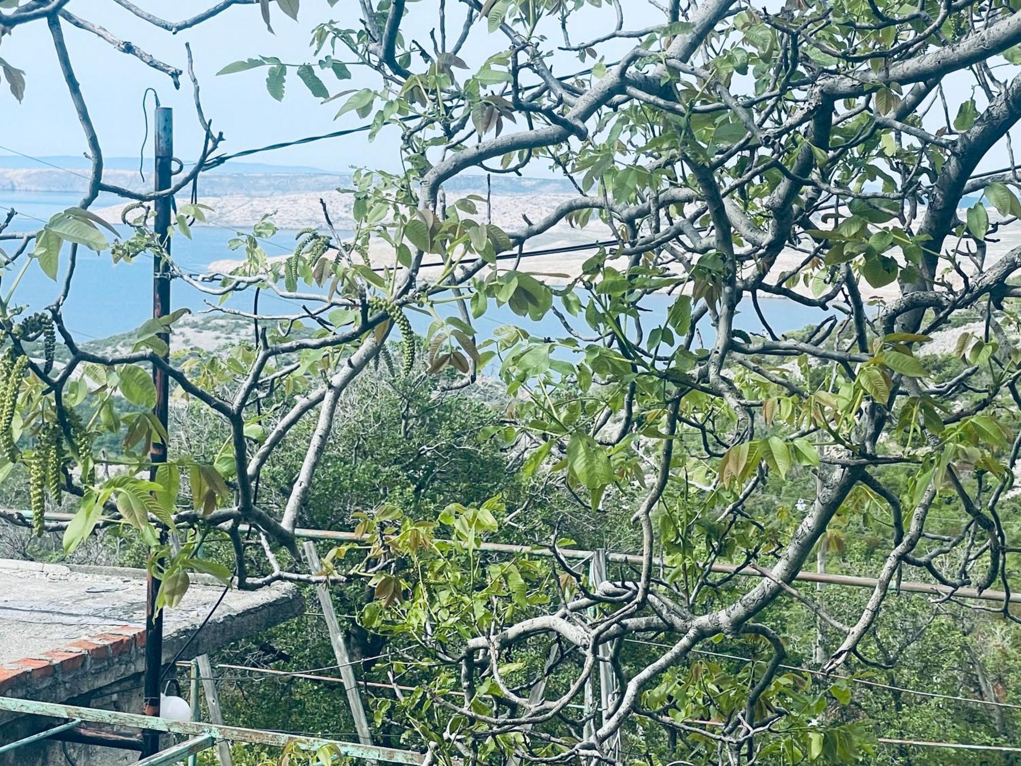 Villa Kuca Za Odmor “Dida” Stinica Exterior foto